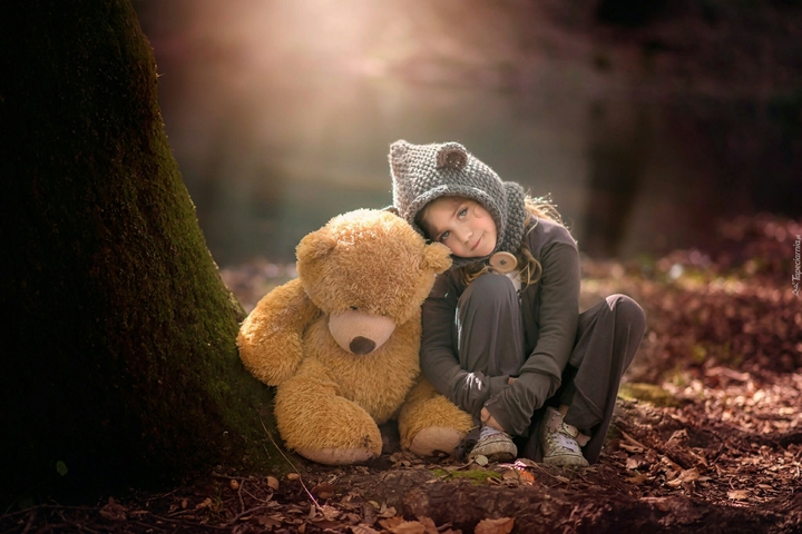 bear