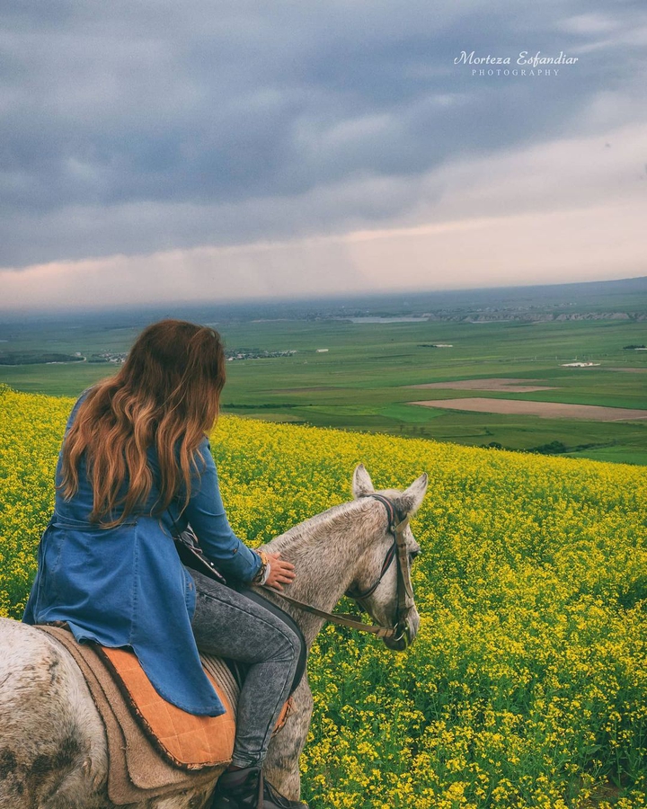 Golestan Nature