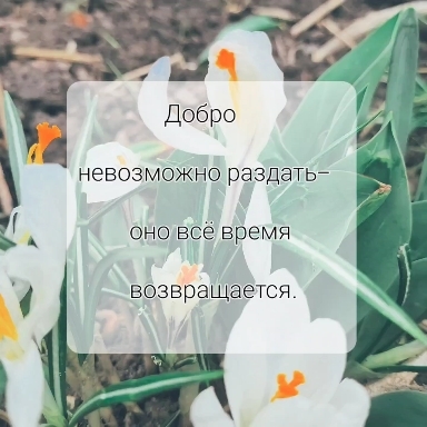 добро