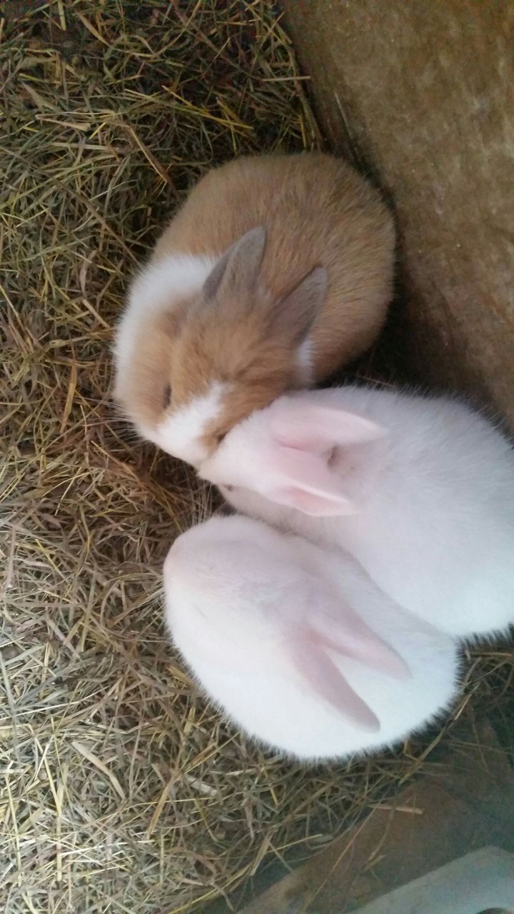cuddly cute