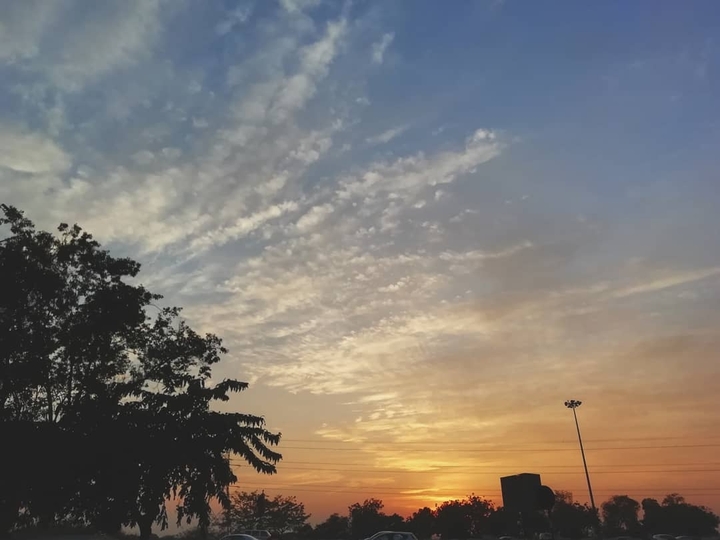 Going Home