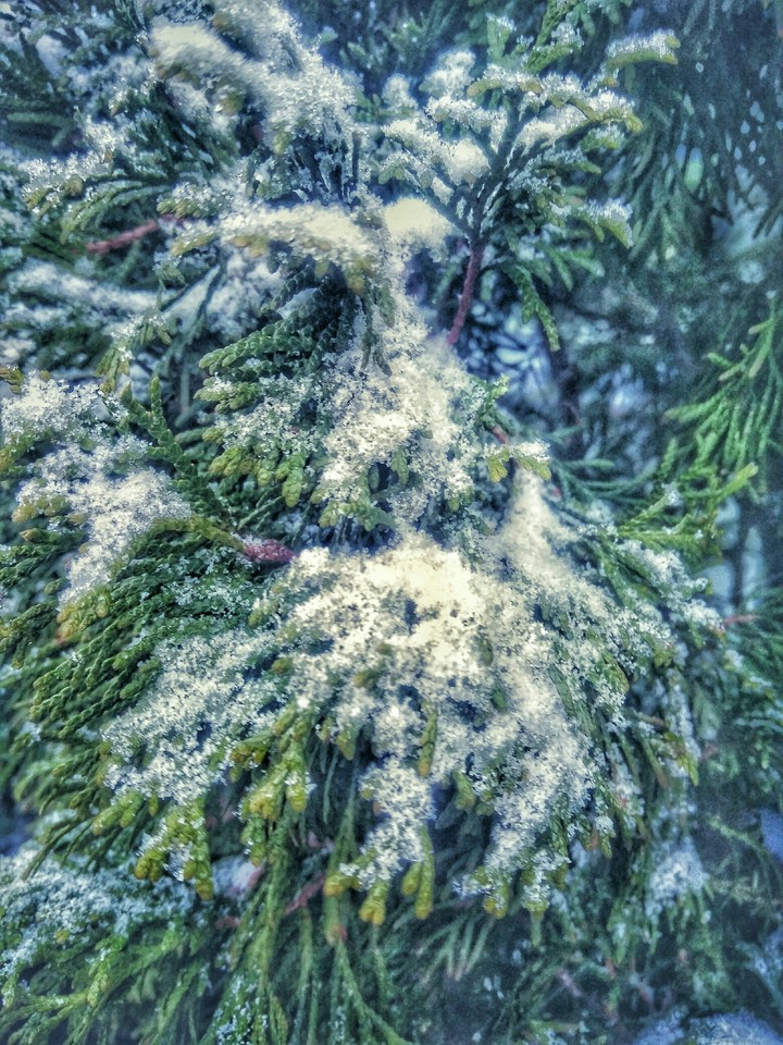 зима пришла