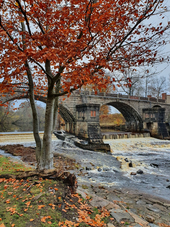 Autumn is beautiful
