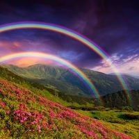 dream