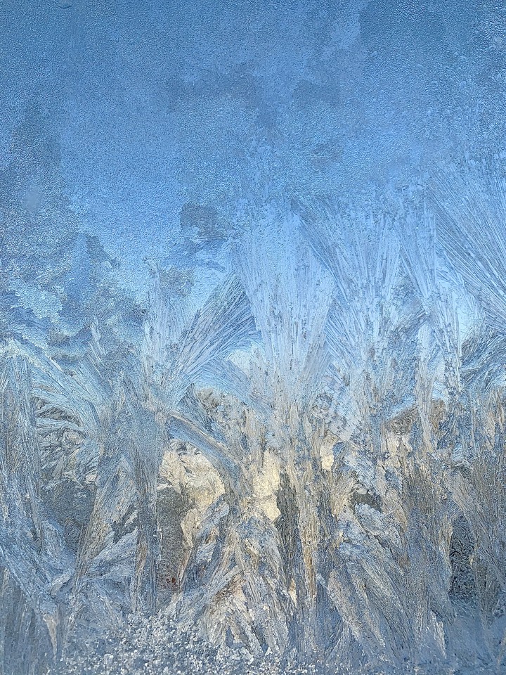 freeze