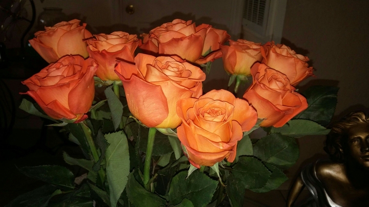 my favorite