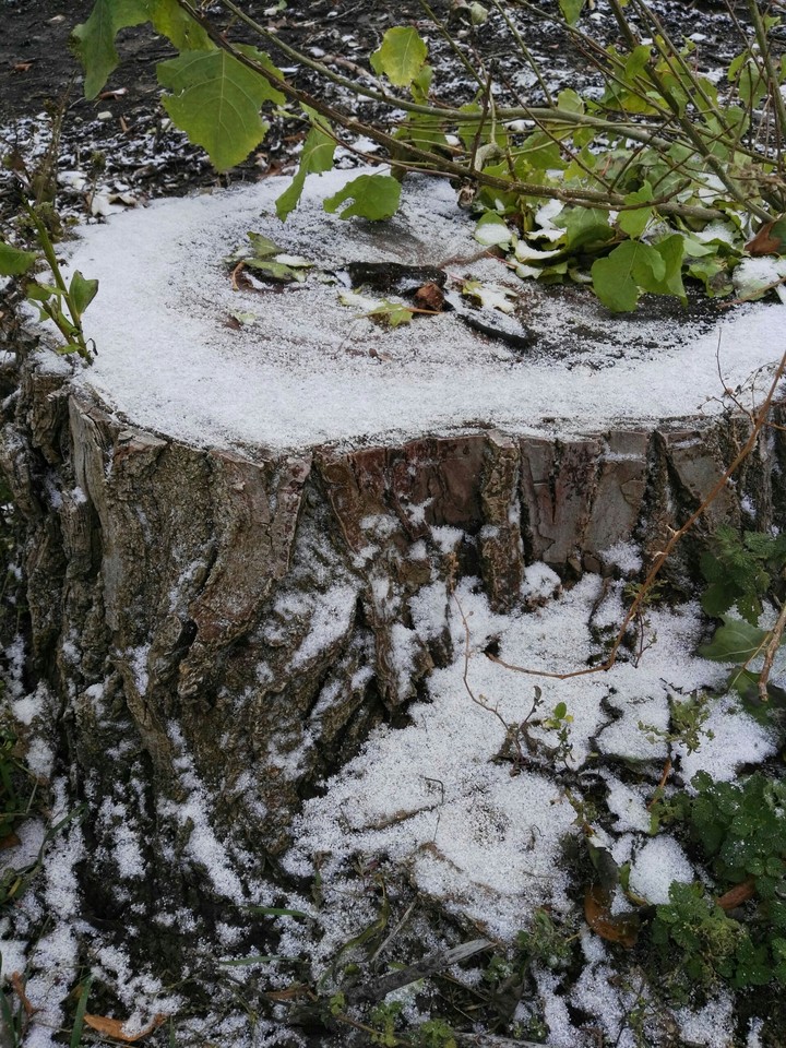 snow