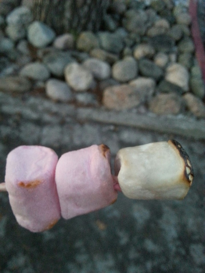 marshmallow