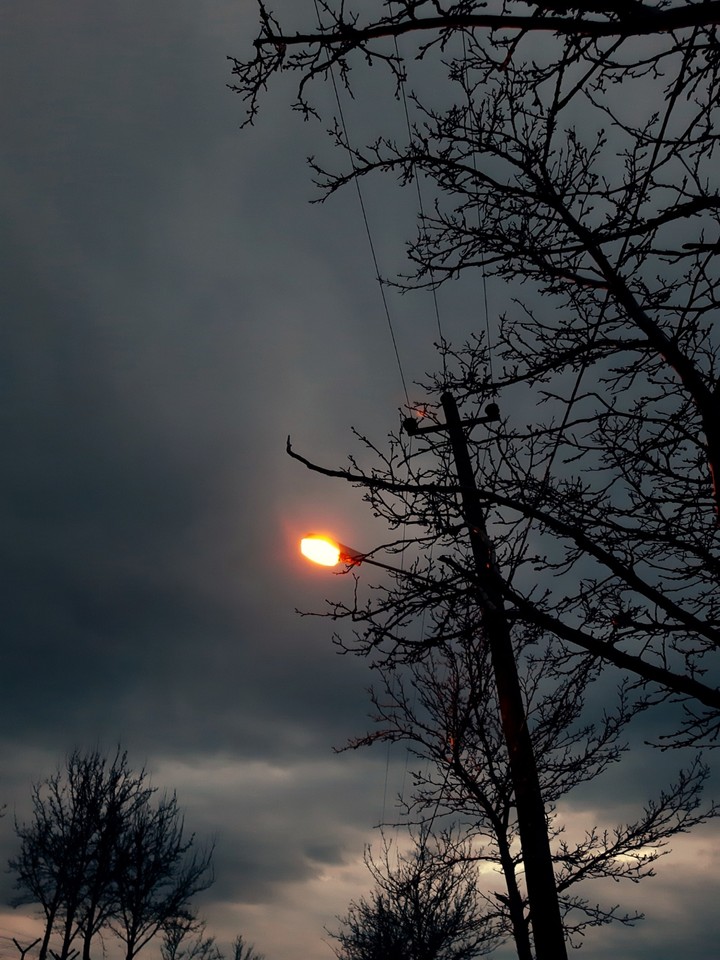 alone in the dark