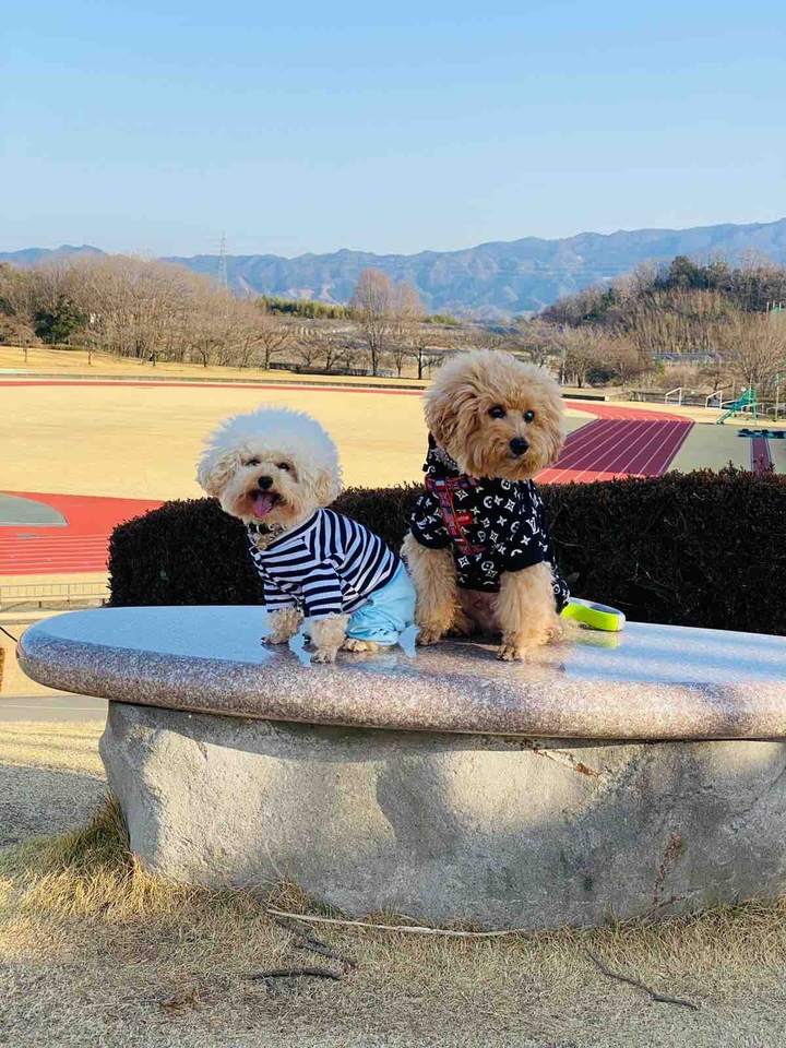 Lucky& Money