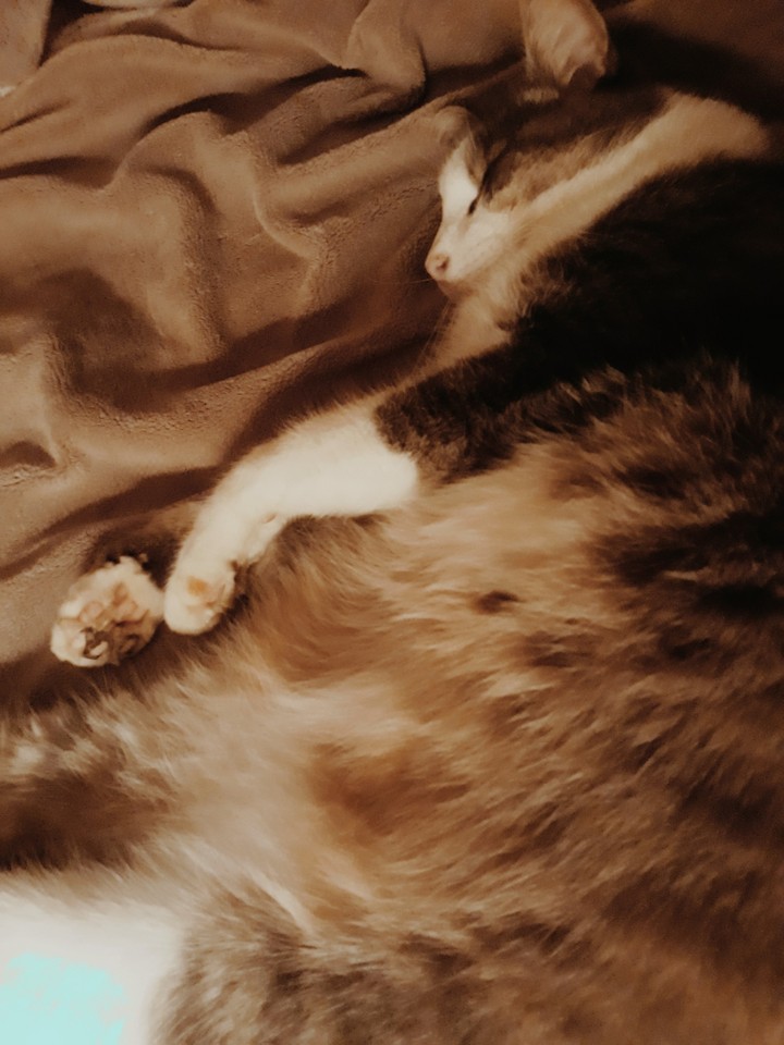 Chat