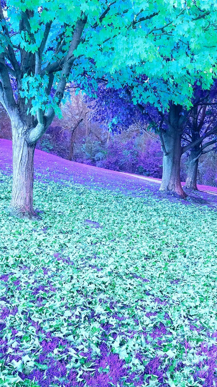 Another Planet
