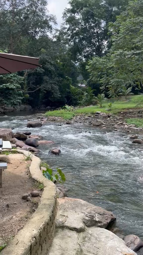 stream, watercourse Hintergrundbilder