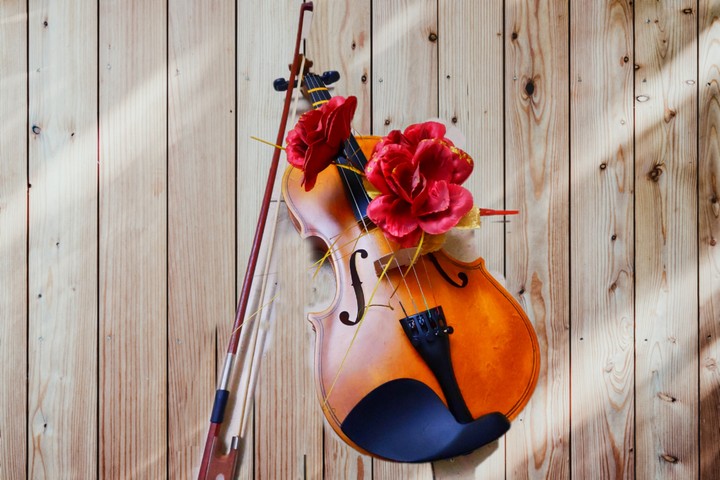 violin
