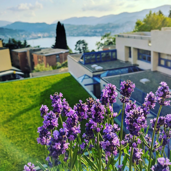 Lugano