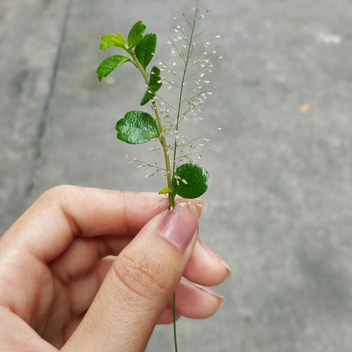 ?