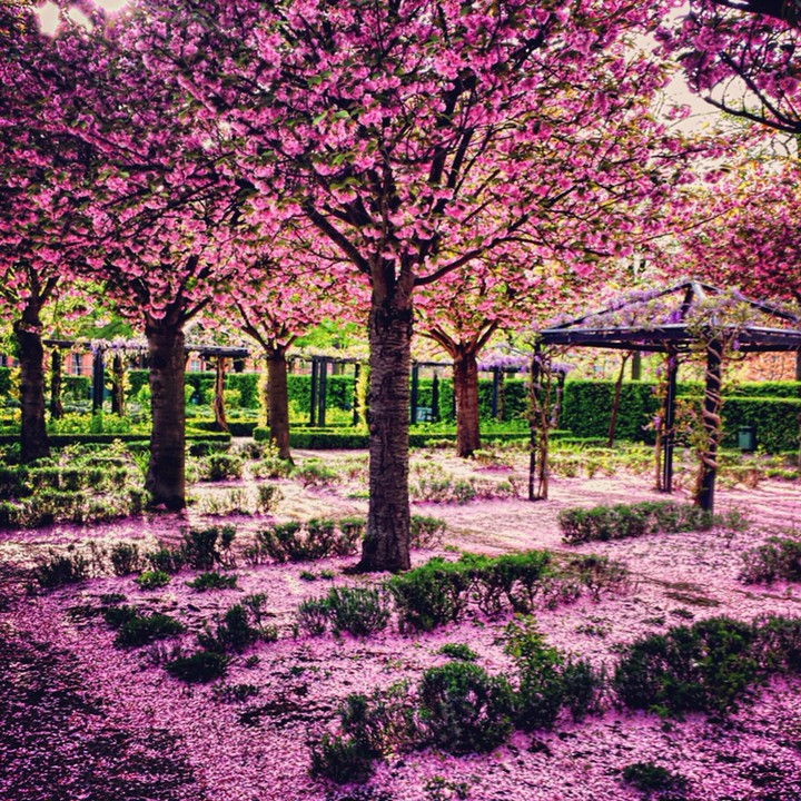 Nature