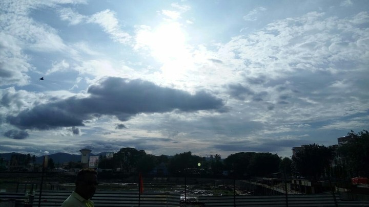 sunlight