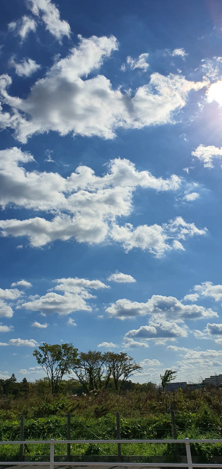 sky