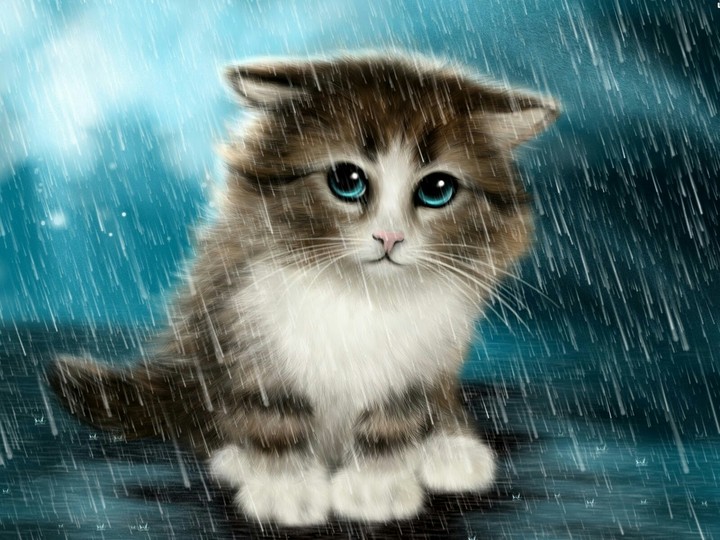 caty