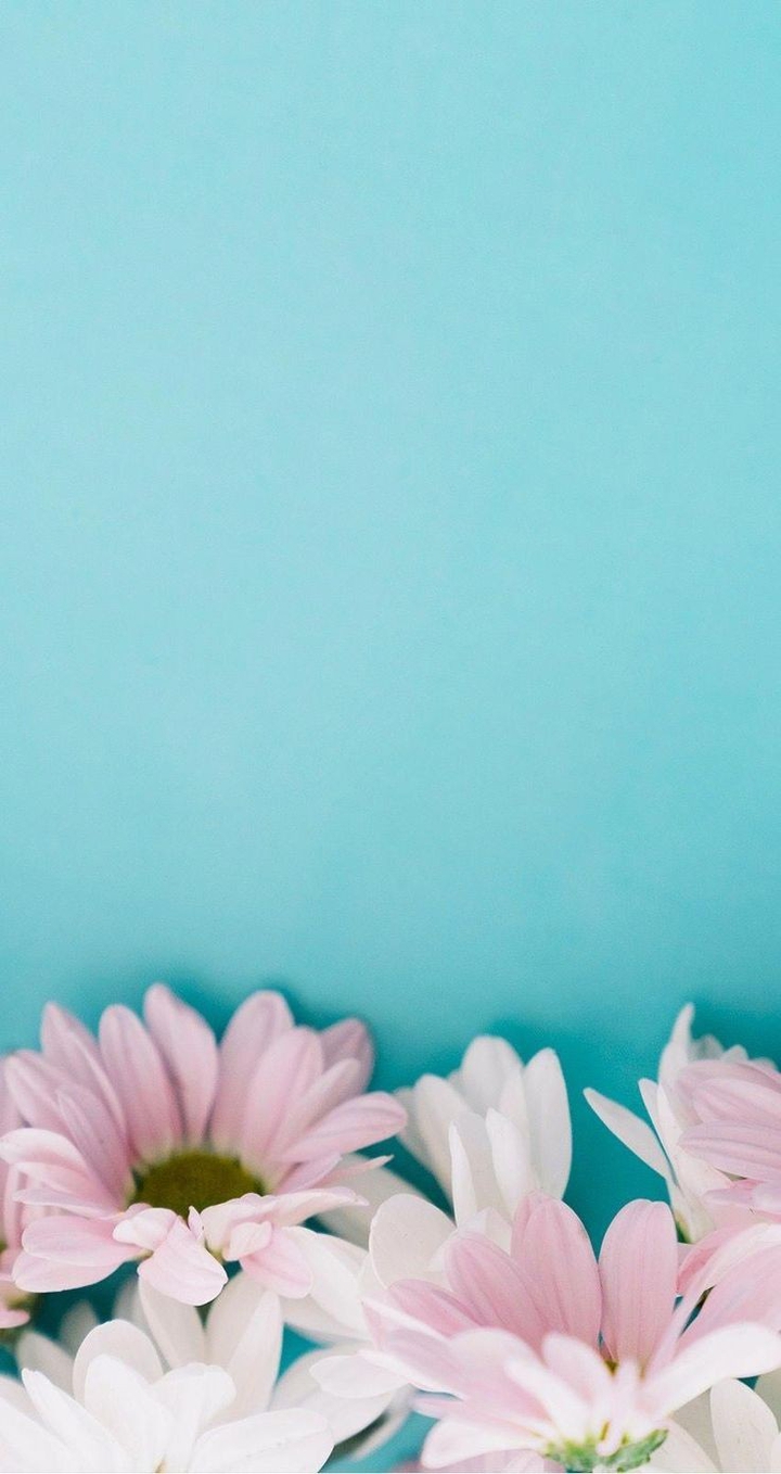 flower background