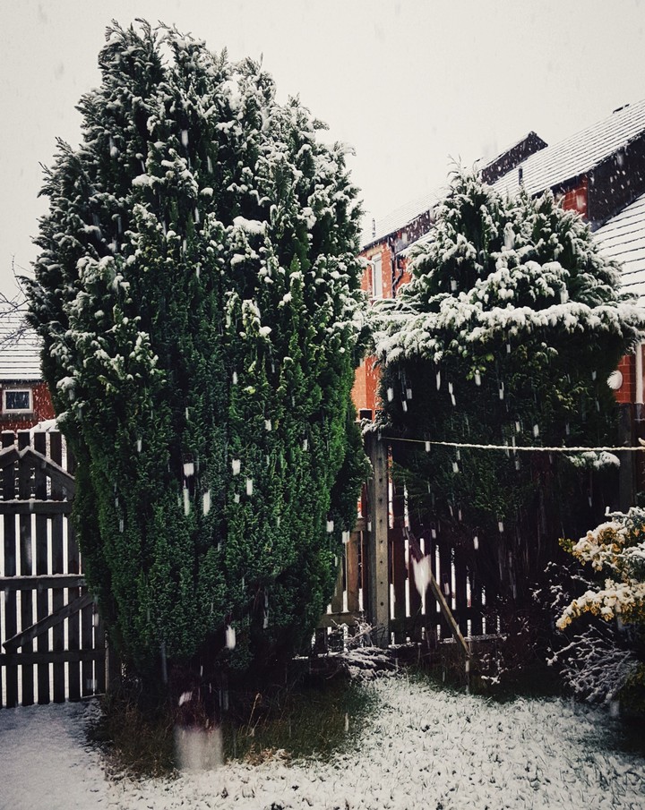 Snowy Weather