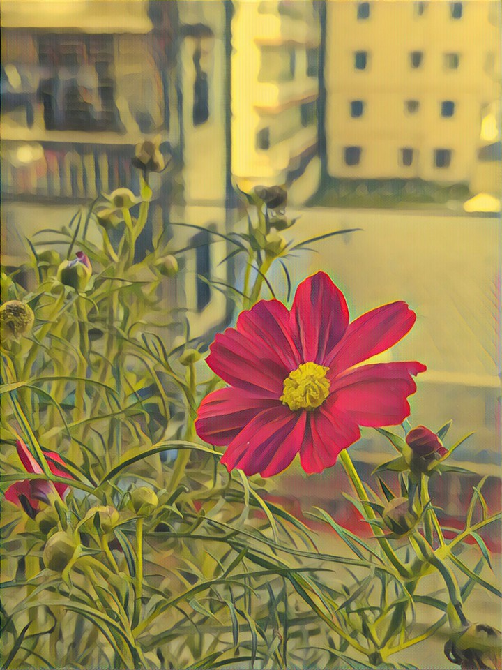 wallmate
