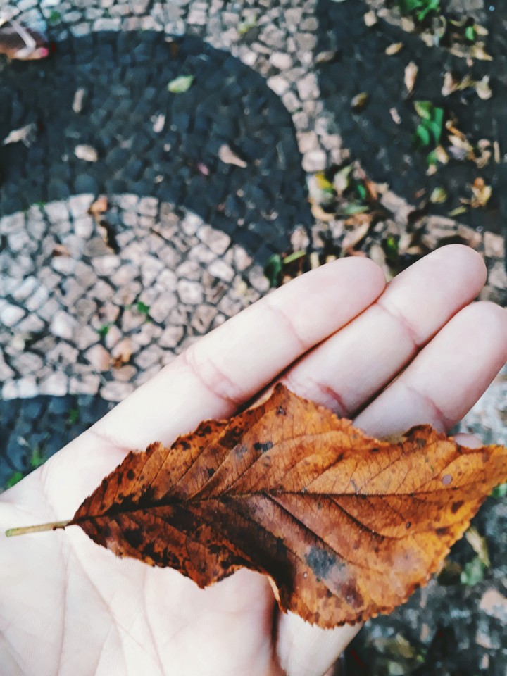 Autumn is coming