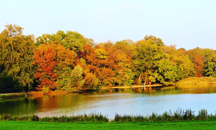 Autumn