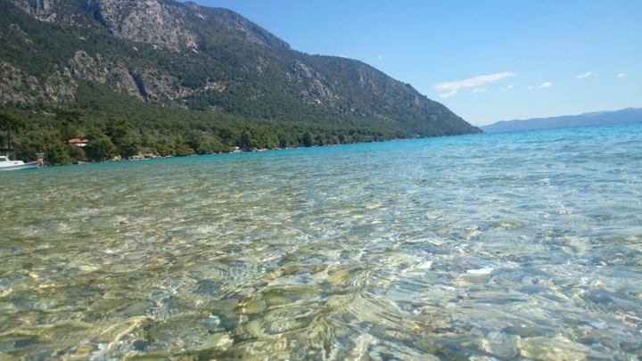 muğla #sea #muğla #blue #green #nature