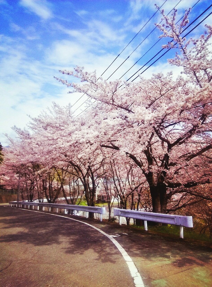 Bientôt le printemps 
