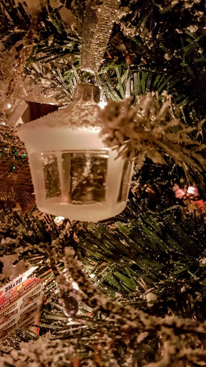 Christmas is coming