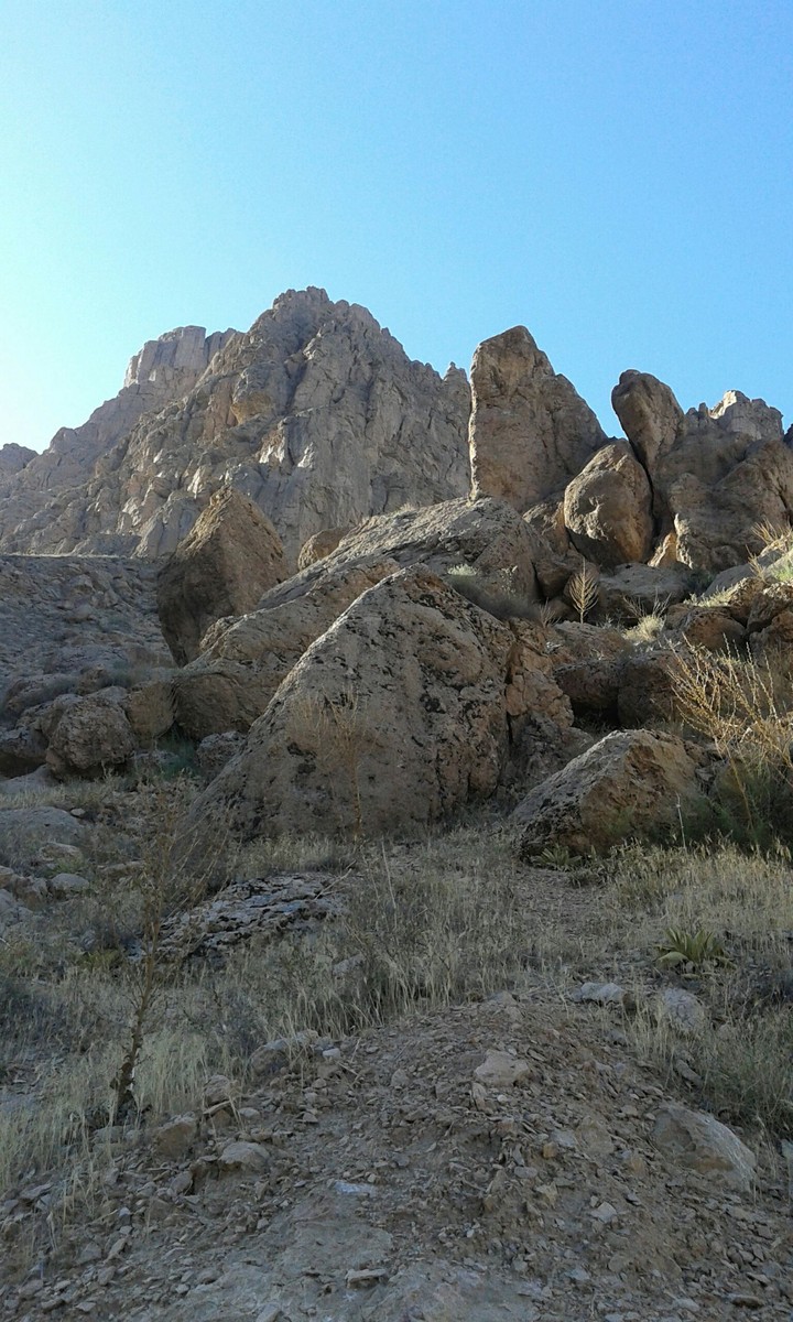 rocks