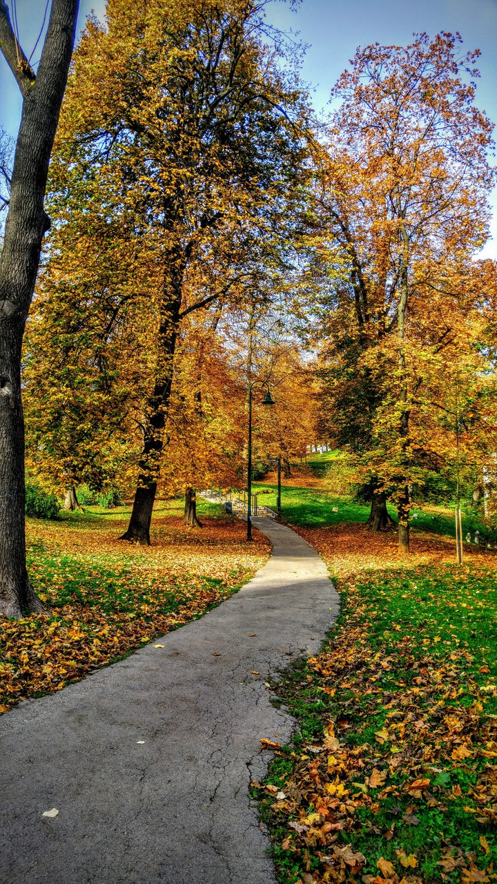 Big Park
