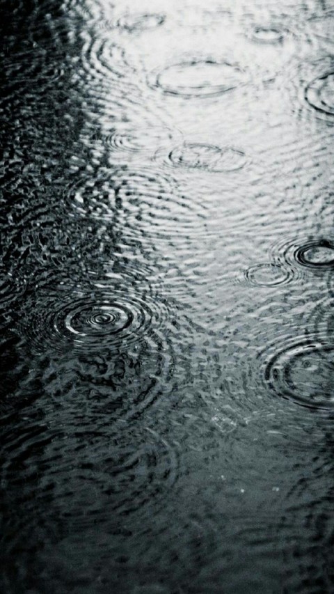 Rain Drop