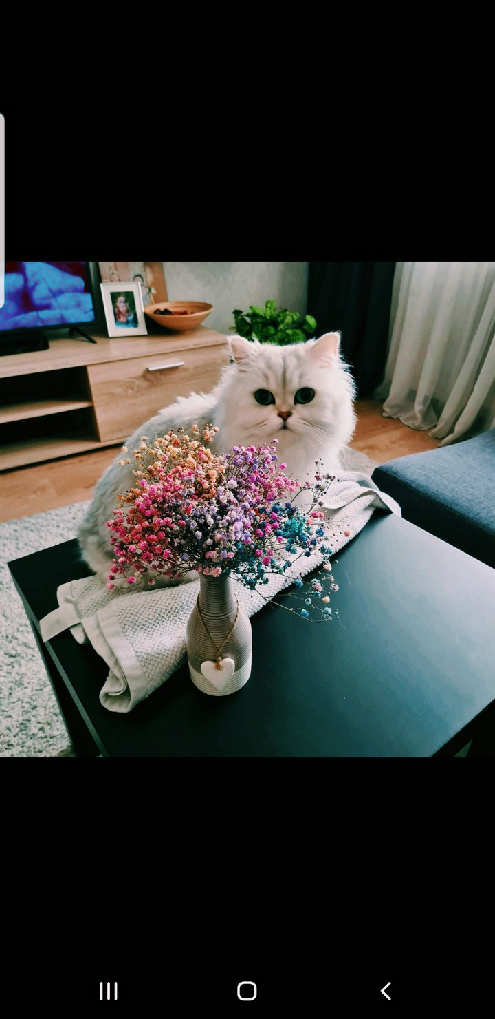 гармония