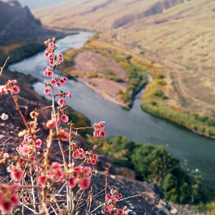 پاییز زیبای آراز
