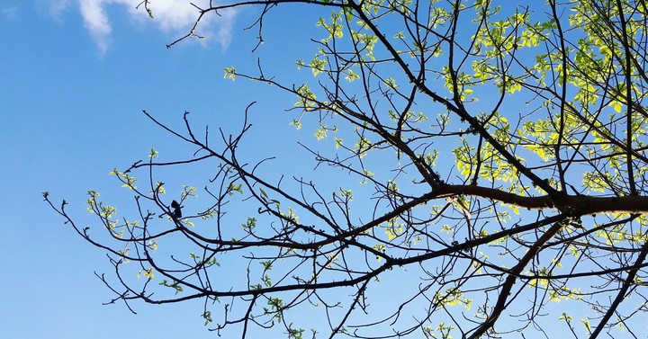 Blue and Green