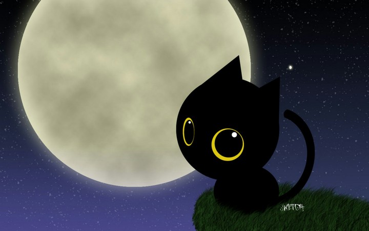The Full Moon Kitten