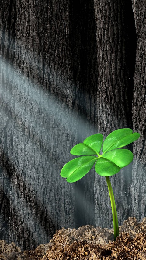 Do you feel lucky?