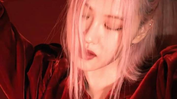 ROSE​ DAZED​ Korea​ #5