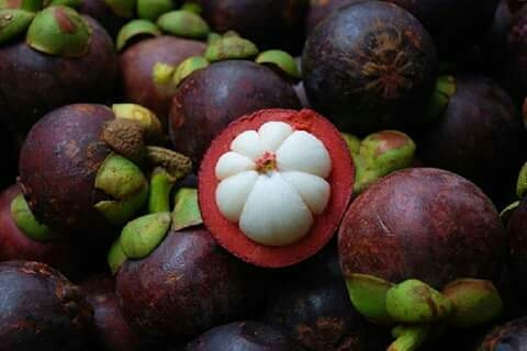 Fruits ......