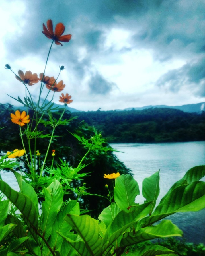 Nature view