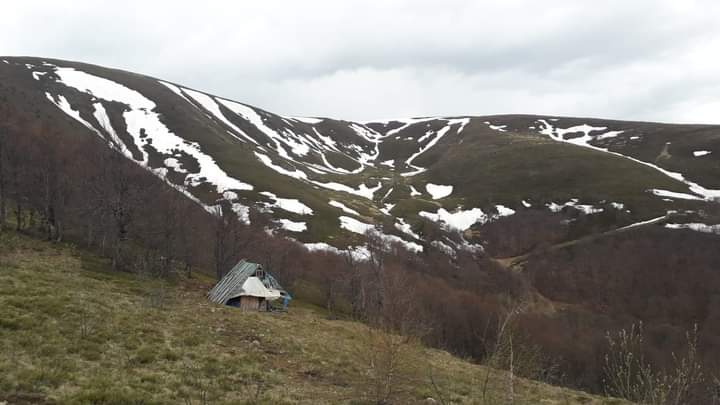 Transcarpathia