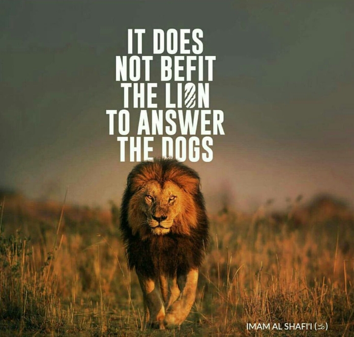 The Lion