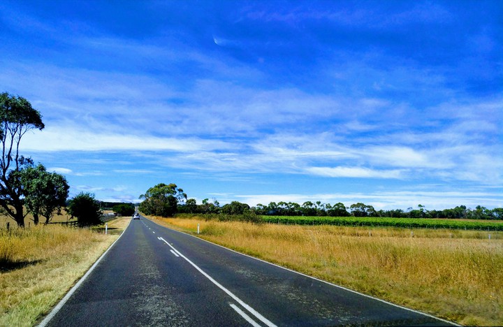 Open field