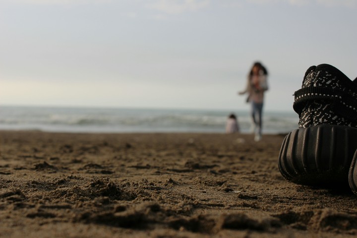 beach sea shore sand