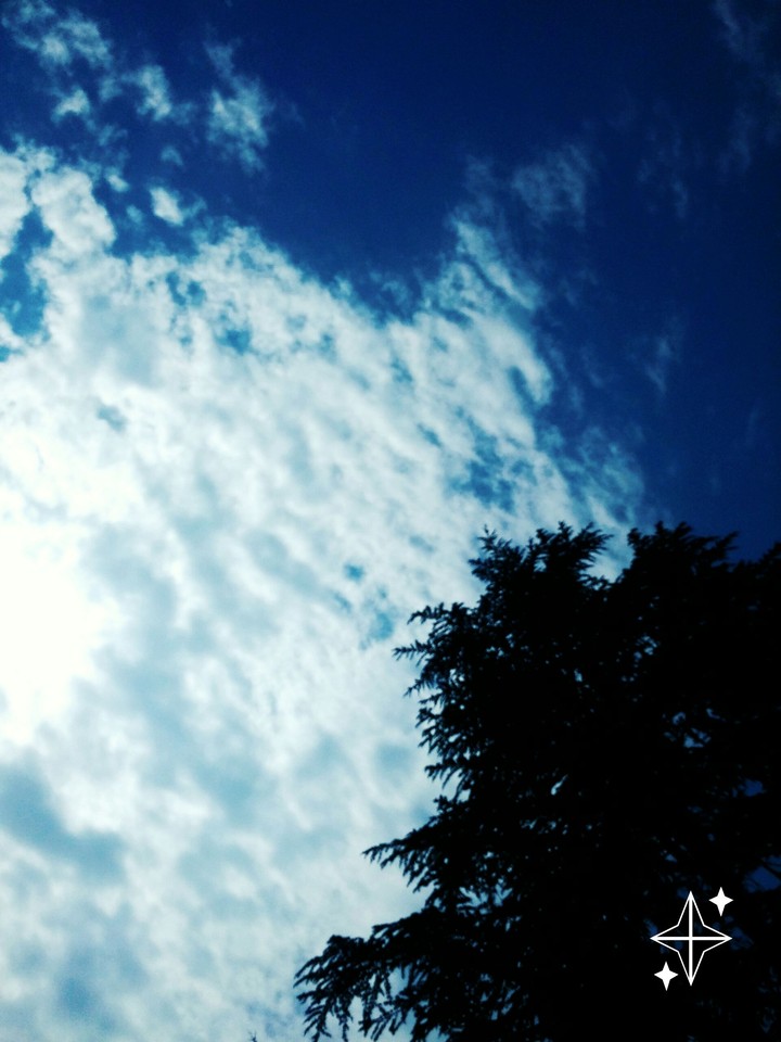 blue and white