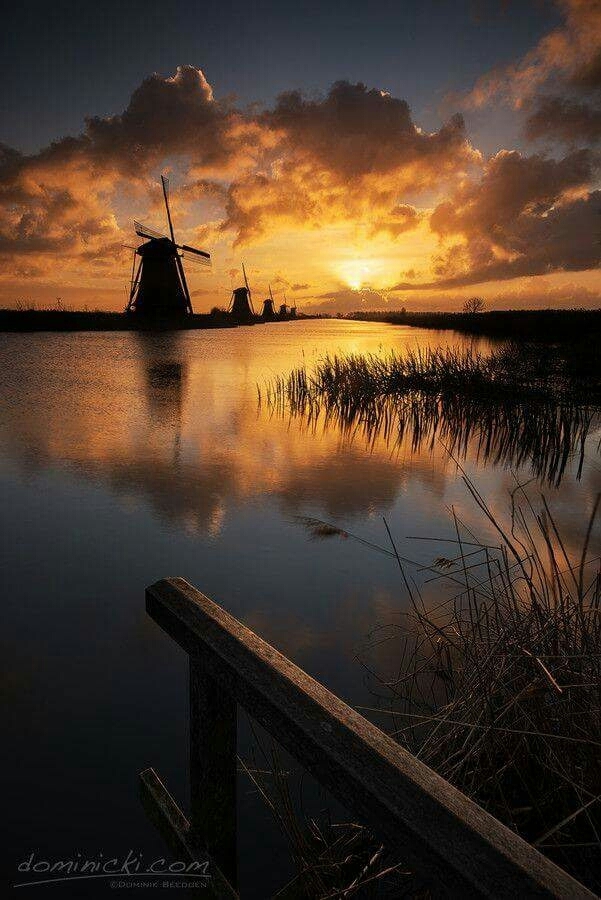 Molens bij Kinderdijk in The Netherlands.