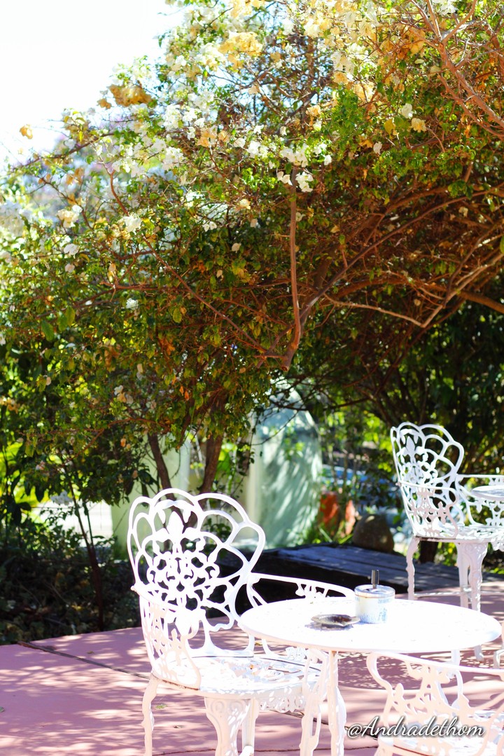 Le Jardin